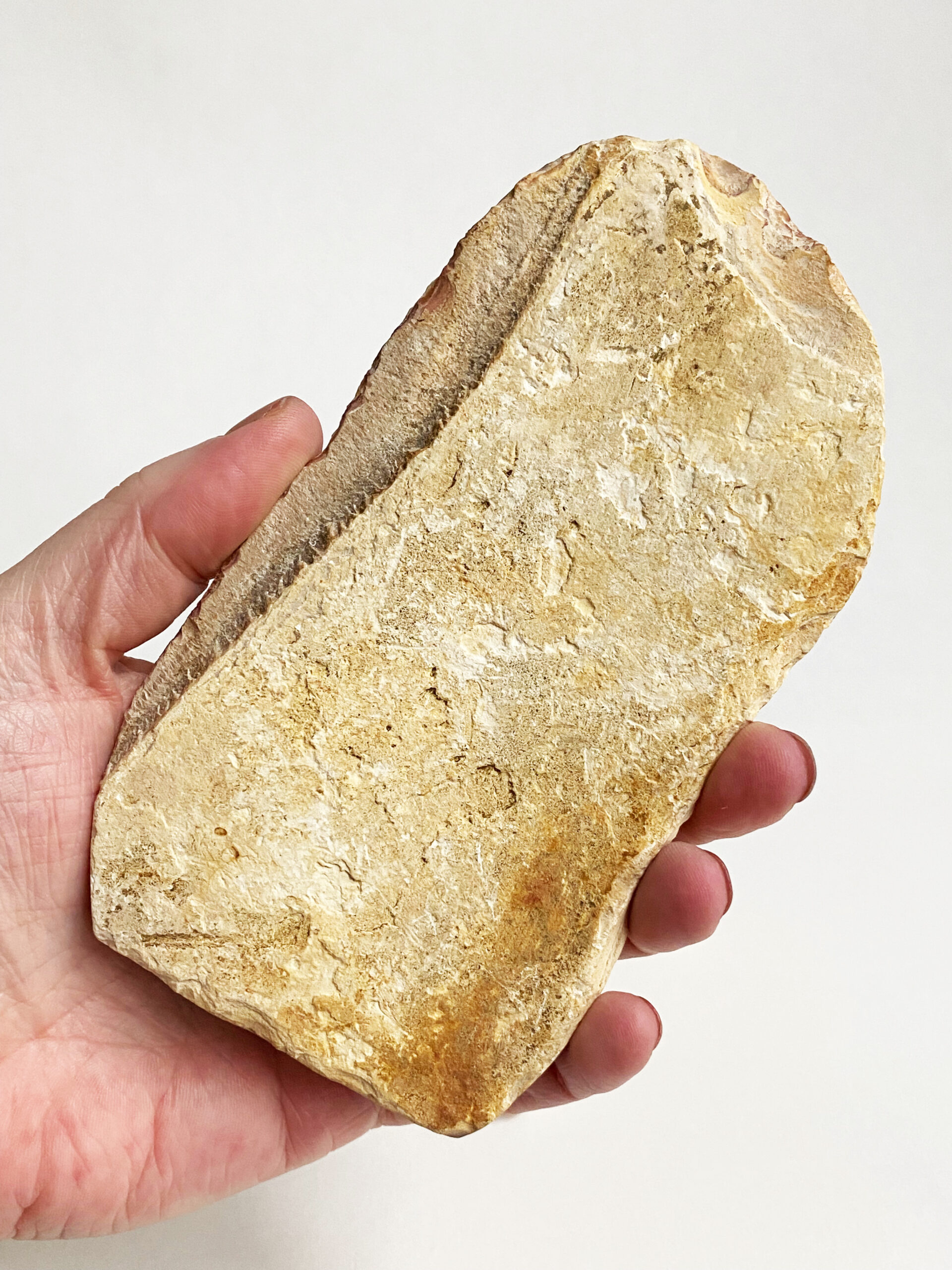 Jaspis slab