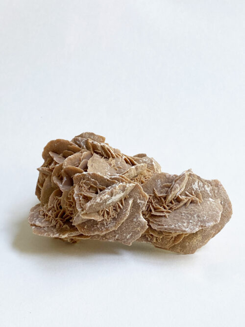Woestijnroos nr 1
