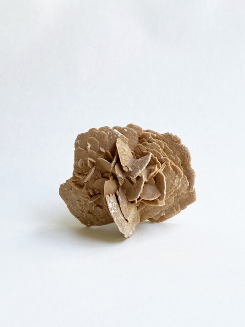 Woestijnroos nr 2
