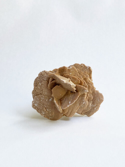 Woestijnroos nr 2