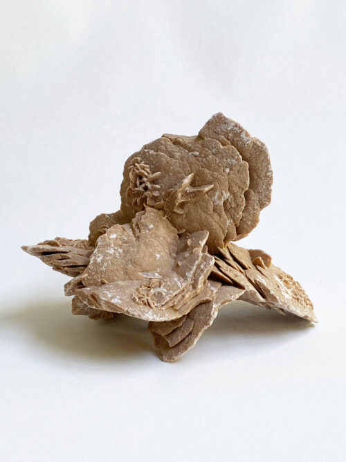Woestijnroos nr 3