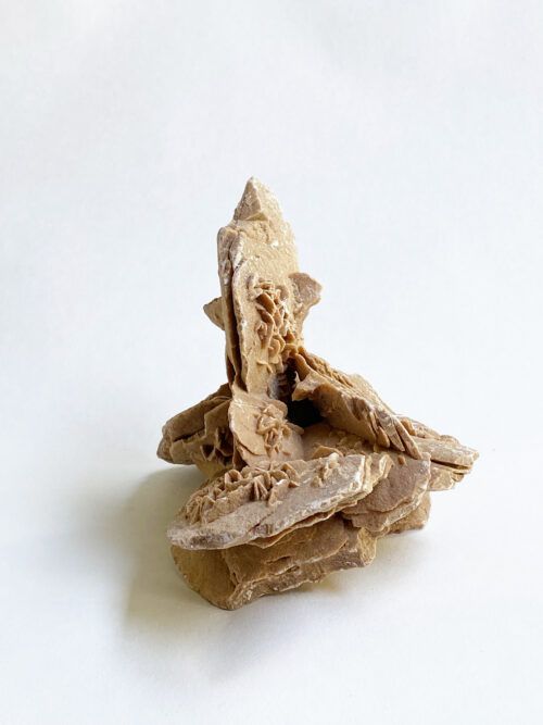 Woestijnroos nr 3
