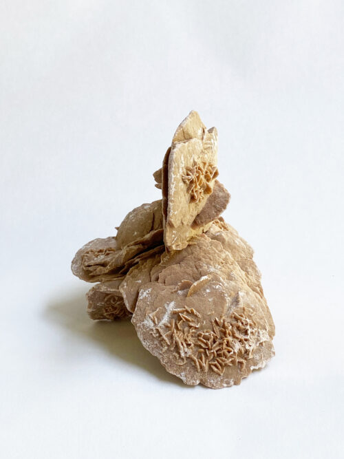 Woestijnroos nr 3