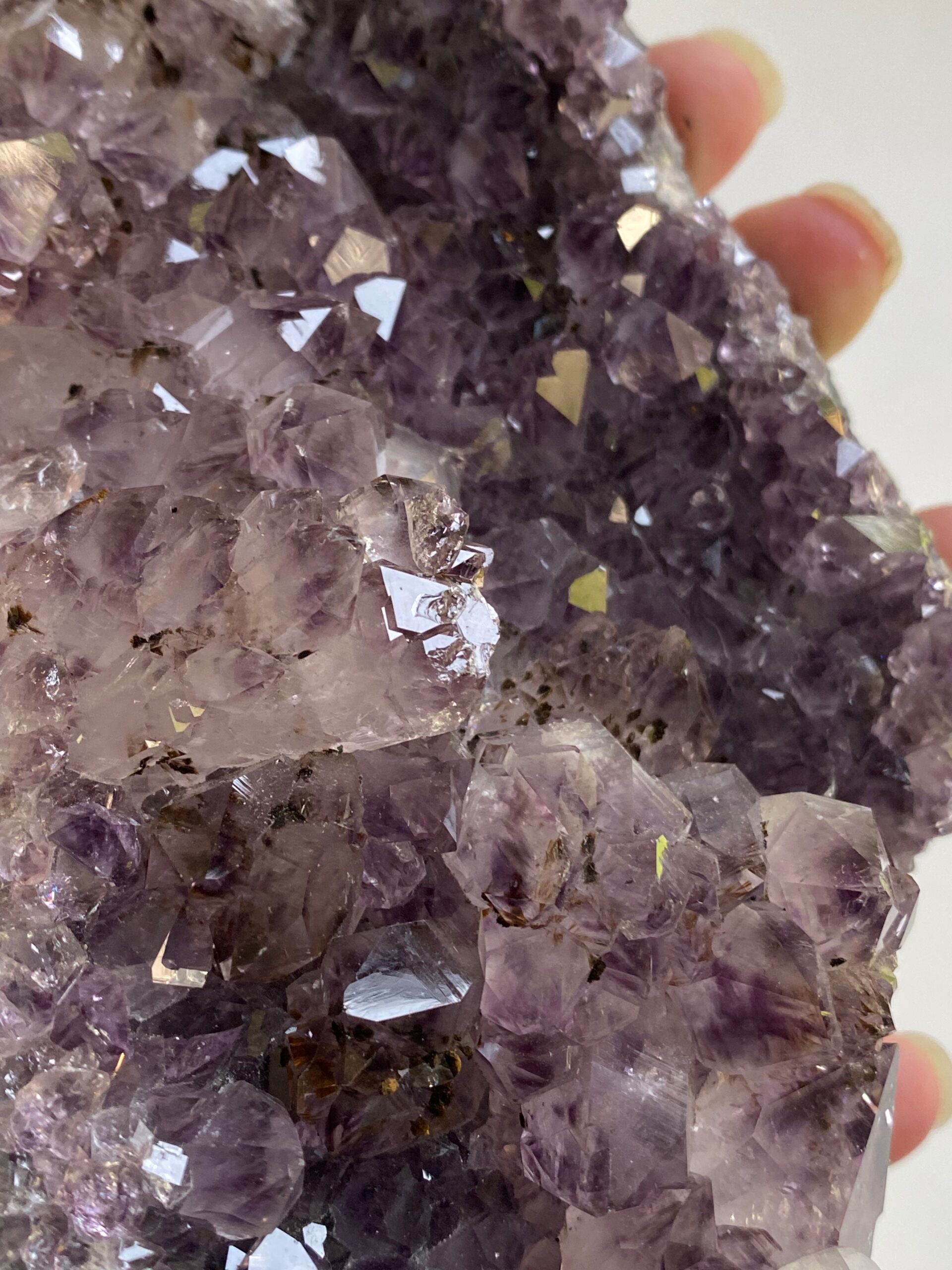 Gouden driehoek set 231